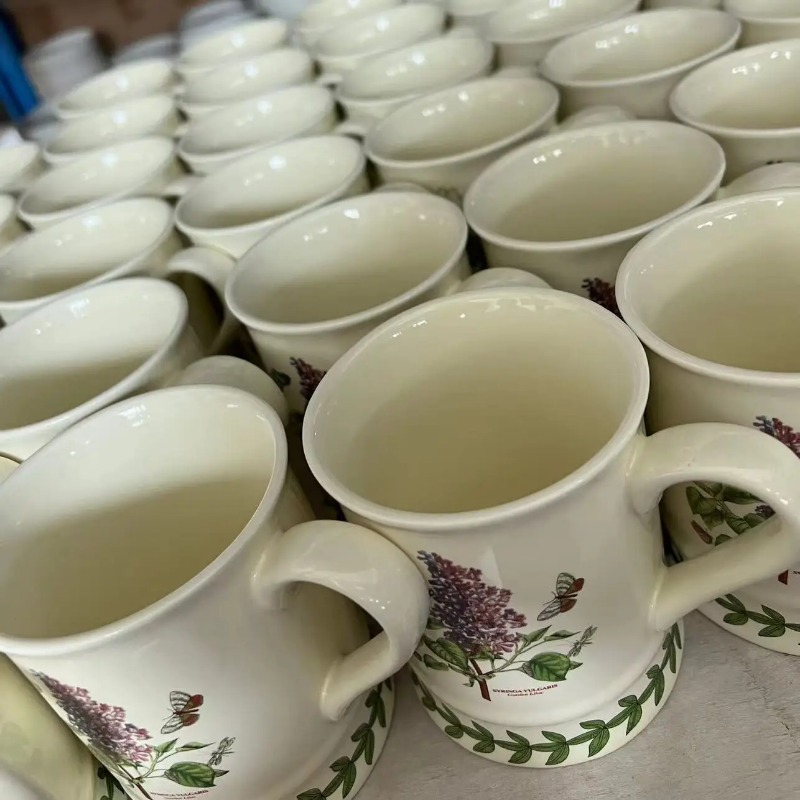 New British ceramic mug plant  - огляд і ціна Coffee Tea For Plants